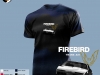 firebird_1982